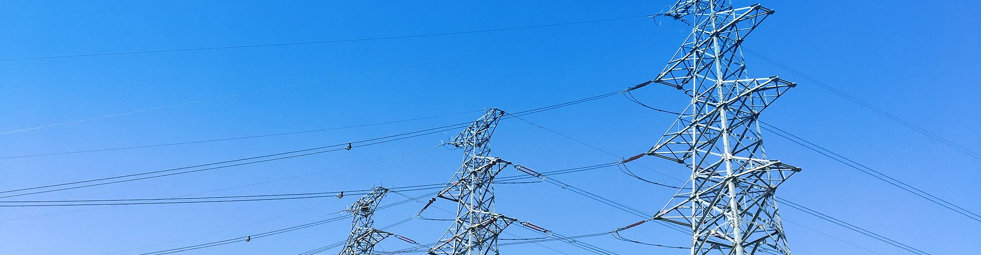 遵循發展的經營理念